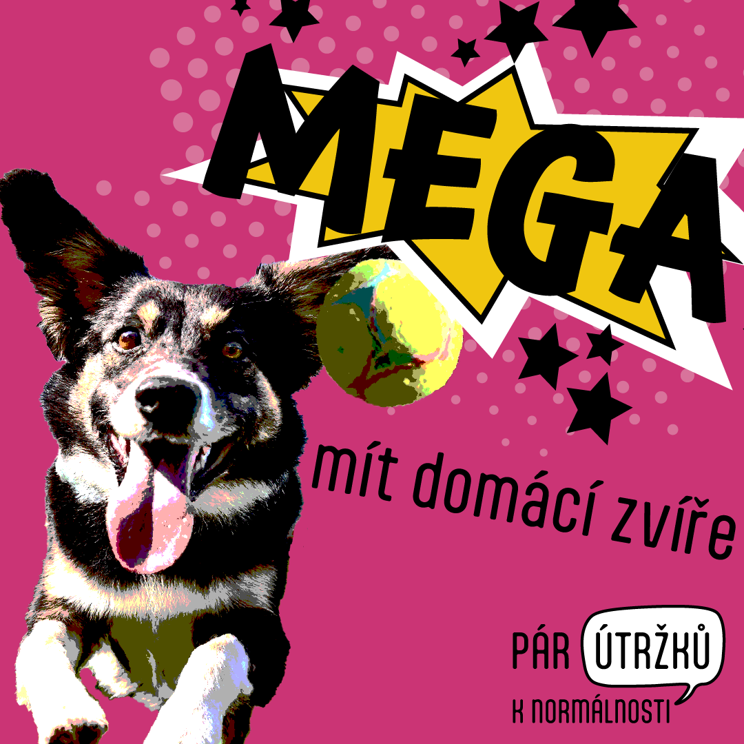 MEGA mít domácí zvíře